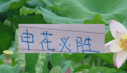 mk娱乐-现阶段的申花要拿冠军！最大的依仗还是锋线进球能力|上海申花|上海海港|鲁迪·盖伊|上海申花足球俱乐部|大连英博_新浪体育_新浪新闻